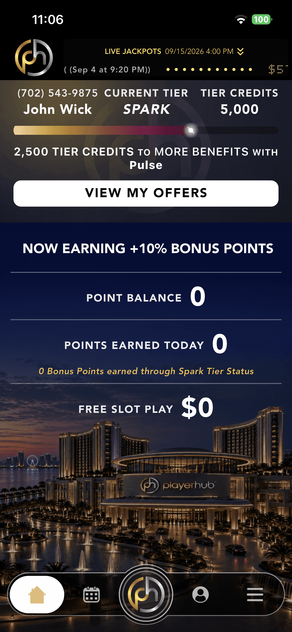 PlayerHub Mobile Experience